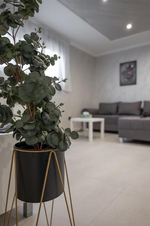 Joy Apartments Zemun,Beograd 外观 照片