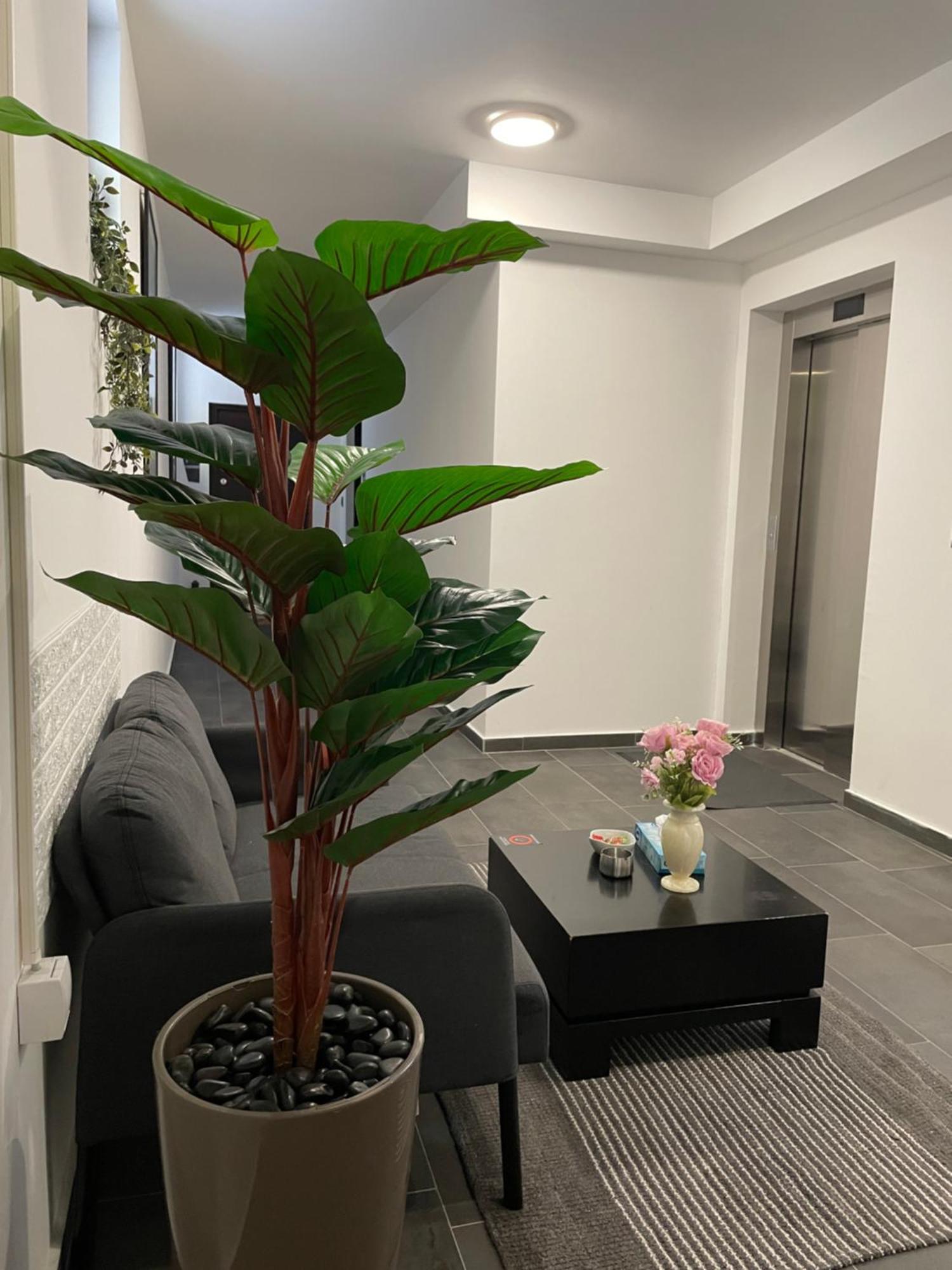 Joy Apartments Zemun,Beograd 外观 照片